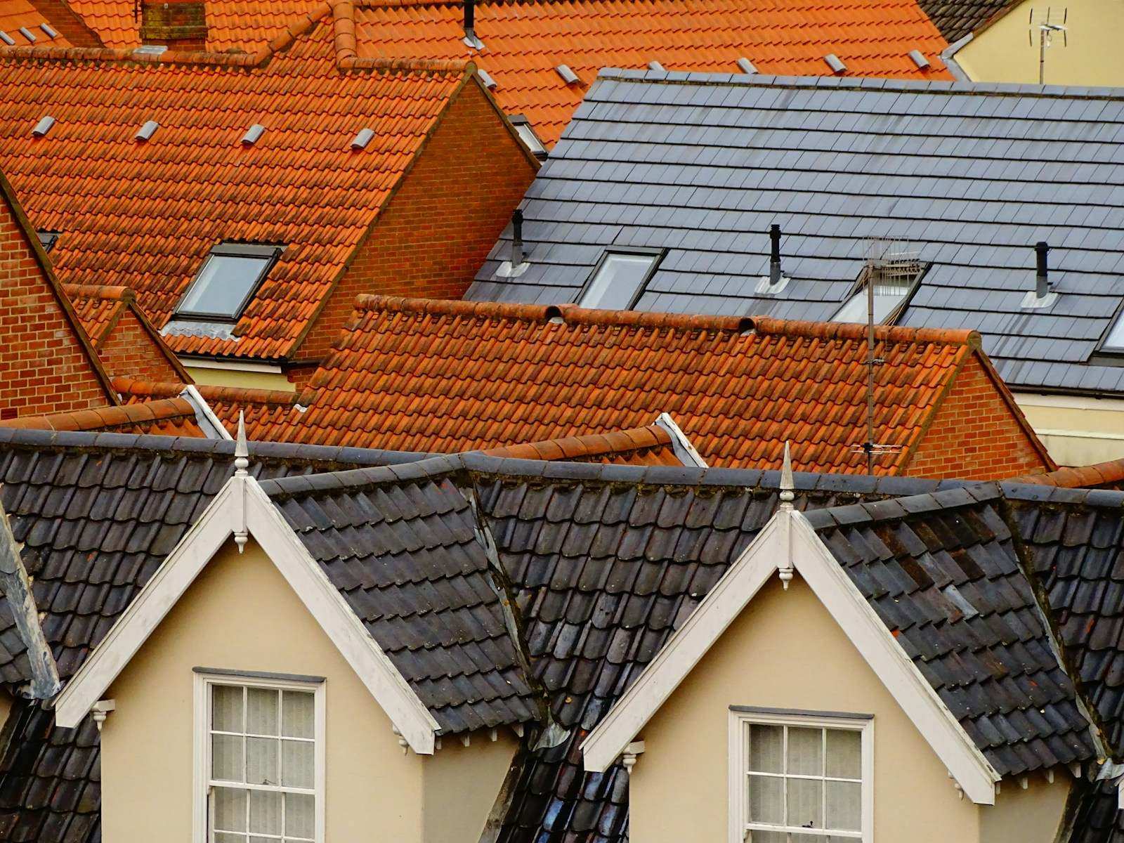 Daken met oranje en grijze pannen boven een rij puntgevels met dakkapellen